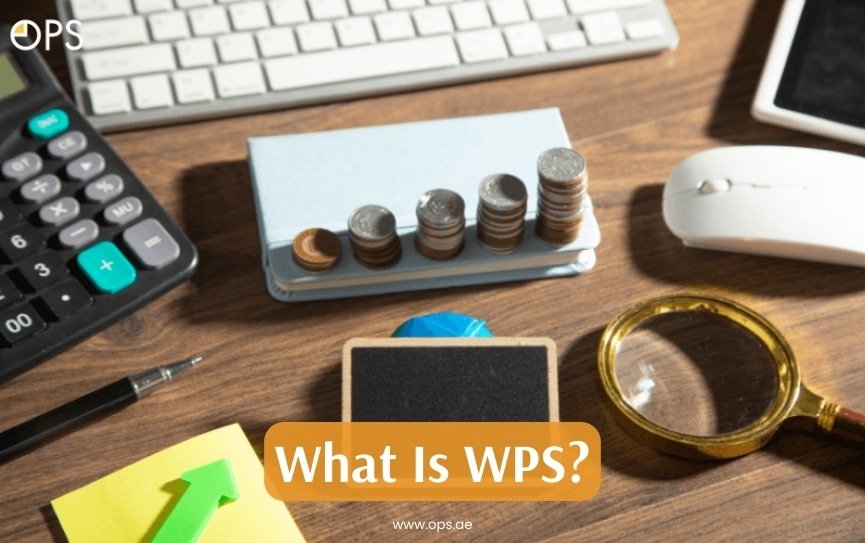 MOHRE Wage Protection System