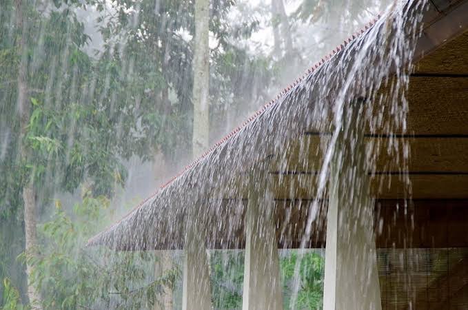 Rain (مطر): Benefits, Types, Water Cycle & Environmental Importance